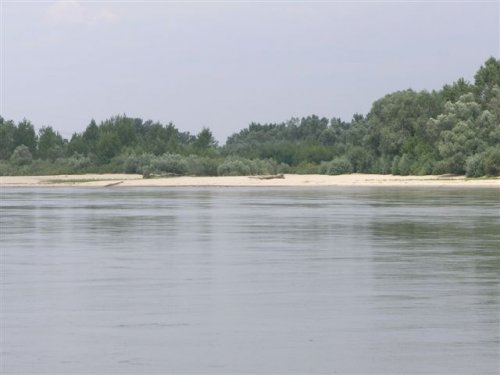 rzeka Wisła - Mniszew