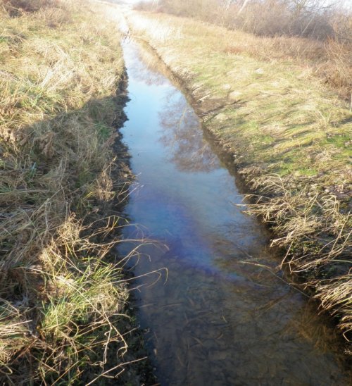 Zanieczyszczony rów doprowadzający wody do rzeki Helenki